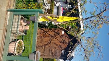 GRATIS tuinhuisje  beschikbaar voor biedingen