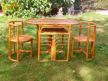 Rieten tafel met 2 stoelen beschikbaar voor biedingen