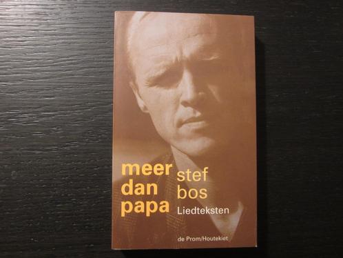 Meer dan papa  -Liedteksten-  Stef Bos, Boeken, Literatuur, Ophalen of Verzenden