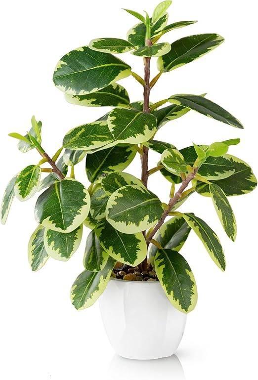 Kunstmatige kamercamelia | 29cm | GRATIS LEVERING, Huis en Inrichting, Woonaccessoires | Kunstplanten en Kunstbloemen, Nieuw, Binnen