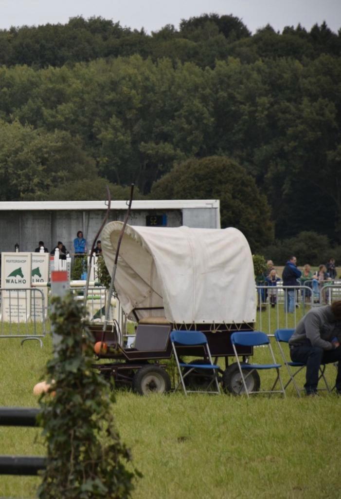 Pony koets, Dieren en Toebehoren, Rijtuigen en Koetsen, Gebruikt, Overige typen, Pony, Gesloten