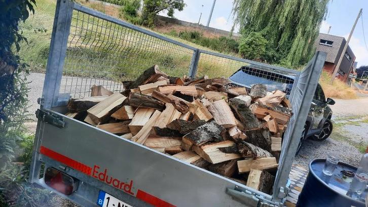 brandhout, Tuin en Terras, Brandhout, Blokken, Eikenhout, 6 m³ of meer, Ophalen of Verzenden