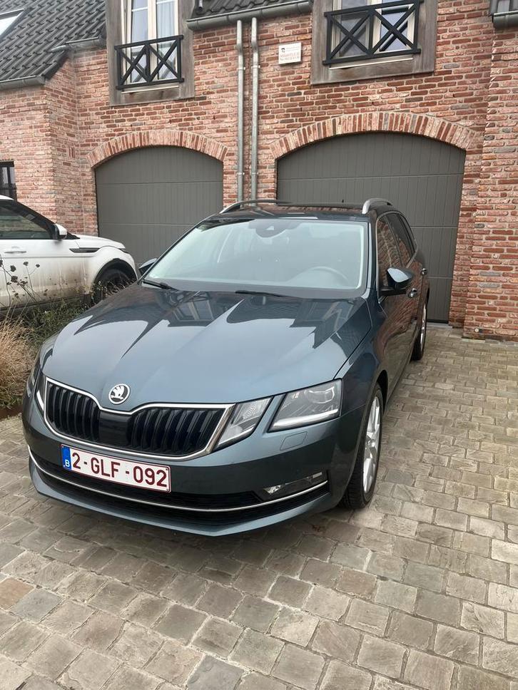 Skoda Octavia CNG, Auto's, Skoda, Particulier, Octavia, CNG (Aardgas), Euro 6, Break, 5 deurs, Automaat, Zilver of Grijs, Zwart
