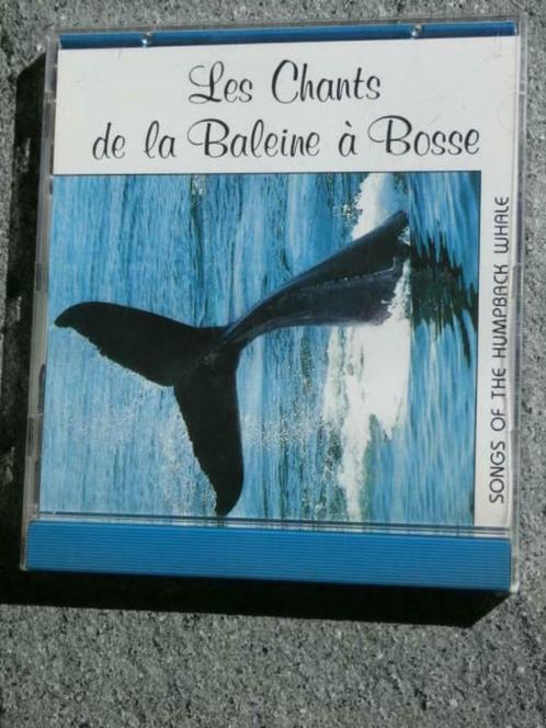 Les chants de la Baleine à Bosse / Chants de la baleine à bo, CD & DVD, CD | Autres CD, Enlèvement ou Envoi