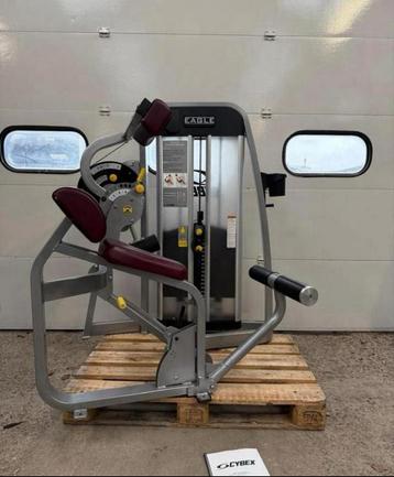 Cybex Eagle back extension / Hyperextension machine beschikbaar voor biedingen