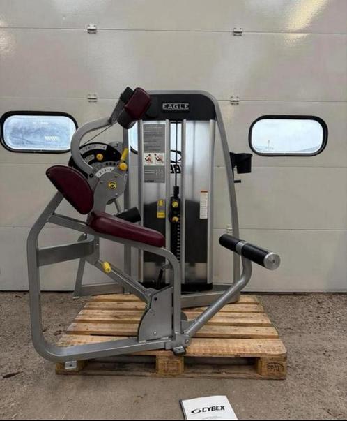 Cybex Eagle back extension / Hyperextension machine, Sport en Fitness, Fitnessmaterialen, Gebruikt, Overige typen, Armen, Benen
