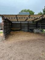 Schuilstal, Dieren en Toebehoren, Weidegang, 4 paarden of pony's of meer