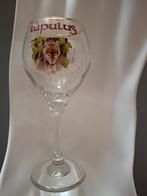 Proefglaasje LUPULUS, Verzamelen, Biermerken, Ophalen of Verzenden, Nieuw, Glas of Glazen
