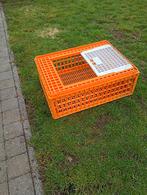 Transportkist pluimvee, Dieren en Toebehoren, Ophalen of Verzenden, Nieuw