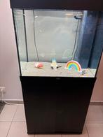 Aquarium 160L avec meuble, Enlèvement, Comme neuf