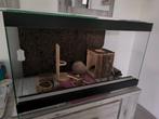 Terrarium 80x50cm, Dieren en Toebehoren, Ophalen, Gebruikt, Overige typen, 60 tot 90 cm