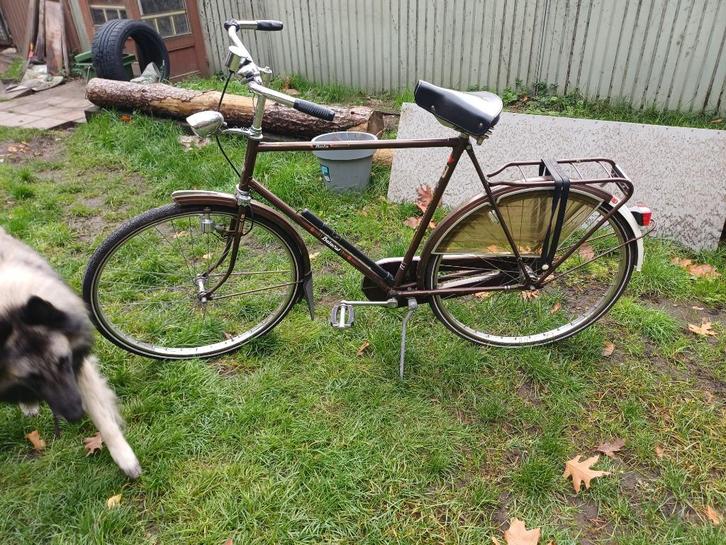 hollandse herenfietsen, Fietsen en Brommers, Fietsen | Heren | Herenfietsen, Gebruikt, Batavus, 61 tot 65 cm, Ophalen