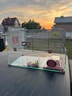 Knaagdierkooi, Kooi, Gebruikt, Minder dan 75 cm, Hamster