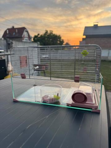Cage rongeur, Moins de 60 cm, Cage, Utilisé, Hamster