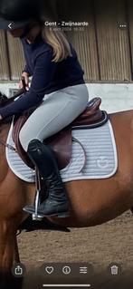 Cavaleria toscana dekje, Ophalen of Verzenden, Zo goed als nieuw, Dekje
