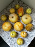 Fruit Albast, Antiek en Kunst, Ophalen