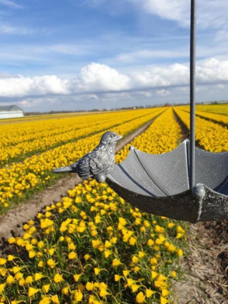 vogelvoederbakje , vogelbad , aanbieding, Tuin en Terras, Vogelhuisjes en Vogelbaden, Nieuw, Ophalen of Verzenden