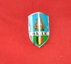 plaque de canne souvenir de hal halle vierge noire, Antiquités & Art, Enlèvement ou Envoi