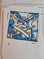 Keith Haring Litho, Enlèvement