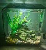 Aquarium Biorb 15L, Dieren en Toebehoren, Vissen | Aquaria en Toebehoren, Ophalen, Zo goed als nieuw