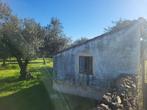 Land te extremadura /+- 120 productieve olijfbomen/ 49950€, Overige soorten, Spanje, Landelijk, 0 m²