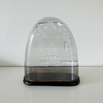 Vintage XL glazen stolp / ovale glasvitrine  beschikbaar voor biedingen