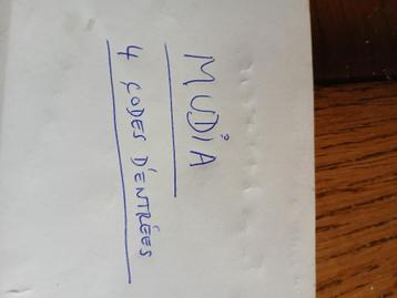 Mudia museum 4 codes (toegangskaarten) 30/6/2025 A Redu. beschikbaar voor biedingen