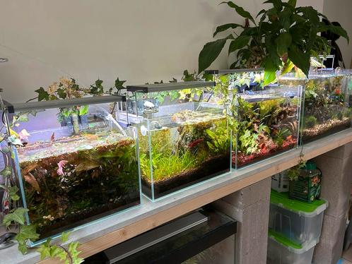 Aquaria set, Animaux & Accessoires, Poissons | Aquariums & Accessoires, Comme neuf, Enlèvement ou Envoi