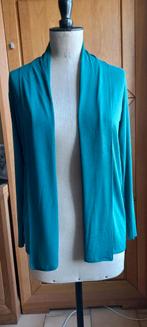 Blauw/groen gilet / trui - maat M, Ophalen of Verzenden, Zo goed als nieuw, Maat 38/40 (M), Blauw