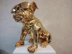 Golden Sunshine dog, Antiek en Kunst, Ophalen of Verzenden