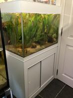 Compleet aquarium, Ophalen, Zo goed als nieuw