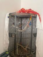 Een papegaaien kooi, Animaux & Accessoires, Oiseaux | Cages & Volières, Comme neuf, Enlèvement ou Envoi