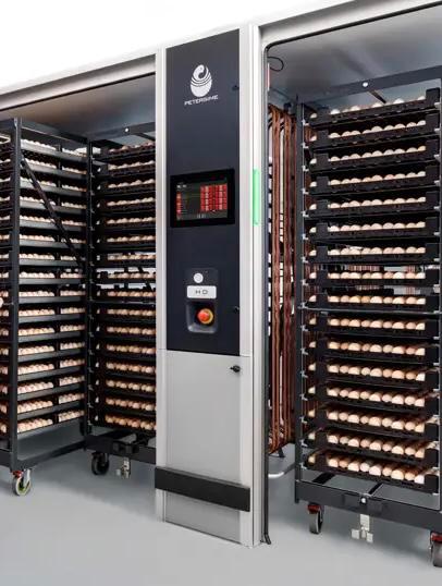 Gezocht: Tweedehands Petersime broedmachine (professioneel), Dieren en Toebehoren, Pluimvee | Toebehoren, Gebruikt, Broedmachine