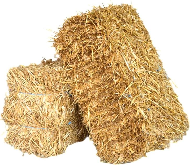 kleine botten stro + grote hooi te koop, Dieren en Toebehoren, Overige Dieren, Augustus