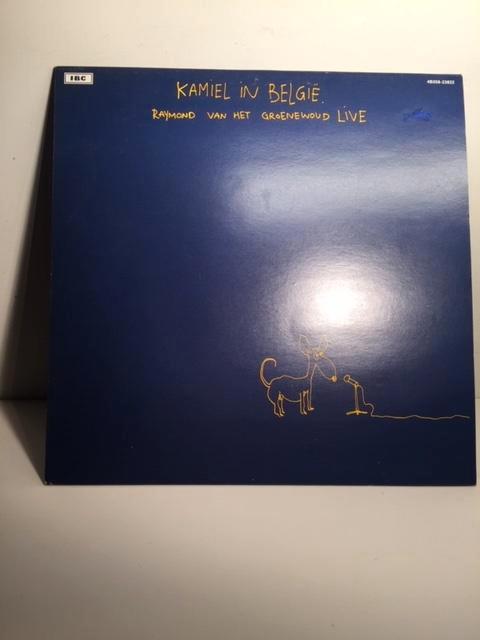 LP - Raymond Van Het Groenewoud - Kamiel en Belgique (Vinyle, CD & DVD, Vinyles | Rock, Comme neuf, Chanteur-compositeur, 12 pouces