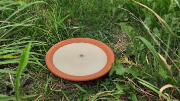 Tuinkaarsen (8 stuks) beschikbaar voor biedingen