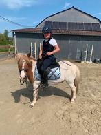 Paardrijden/ Natural Horsemanship