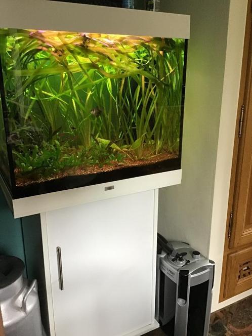 Aquarium Lido 200 parfait état + équipement complet + systèm, Dieren en Toebehoren, Vissen | Aquaria en Toebehoren, Gebruikt, Gevuld zoetwateraquarium