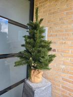 Kerstboomtje, Jardin & Terrasse, Plantes | Arbres, Enlèvement ou Envoi