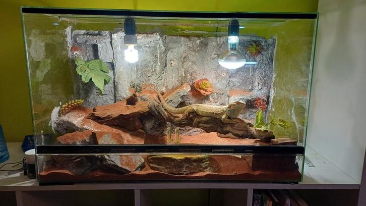 Terrarium 90x50x35, Dieren en Toebehoren, Reptielen en Amfibieën | Toebehoren, Ophalen