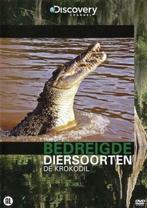 Bedreigde diersoorten - De krokodil