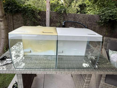 Fluval aquariums, Dieren en Toebehoren, Vissen | Aquaria en Toebehoren, Gebruikt, Leeg aquarium, Ophalen