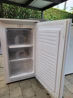Mini diepvries, Huis en Inrichting, Ophalen, Gebruikt
