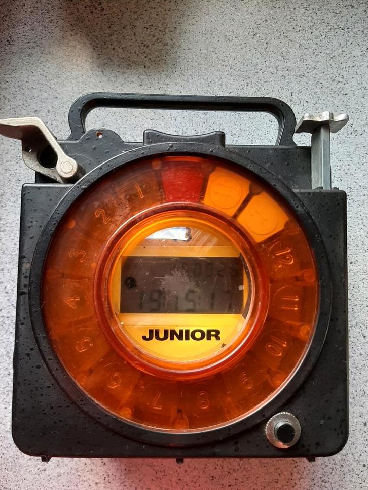 Vintage Junior duivenklok Quartzcomputer, Dieren en Toebehoren, Vogels | Duiven