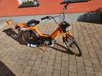 Honda camino Papier present, Motoren, Particulier