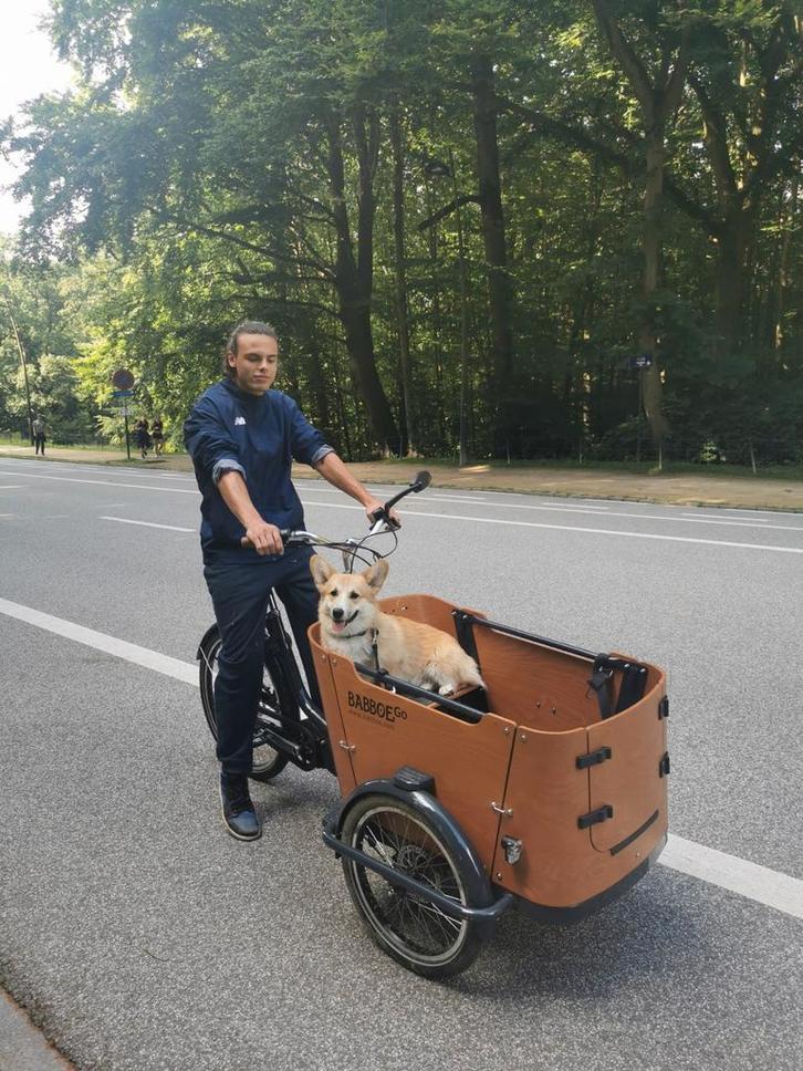 vélo Babboe Go Mountain, 215 km, Fietsen en Brommers, Fietsen | Bakfietsen, Gebruikt, Ophalen