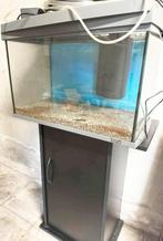 3 aquariums waarvan 1 met meubel, Dieren en Toebehoren, Vissen | Aquaria en Toebehoren, Ophalen