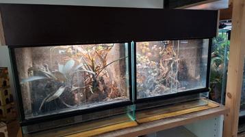 2x paludarium met lichtkap, Enlèvement, Comme neuf, Terrarium ou Paludarium