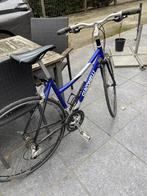 Dames koersfiets giacomelli, Ophalen, Gebruikt, Overige merken