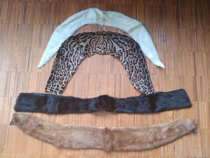 4 oude bontpelsen, Kleding | Dames, Mutsen, Sjaals en Handschoenen, Zo goed als nieuw, Sjaal, Ophalen of Verzenden